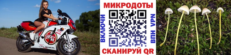 Псилоцибиновые грибы ЛСД цена Александровское